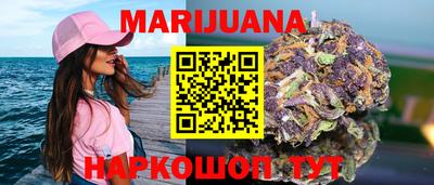 крисы Лесосибирск