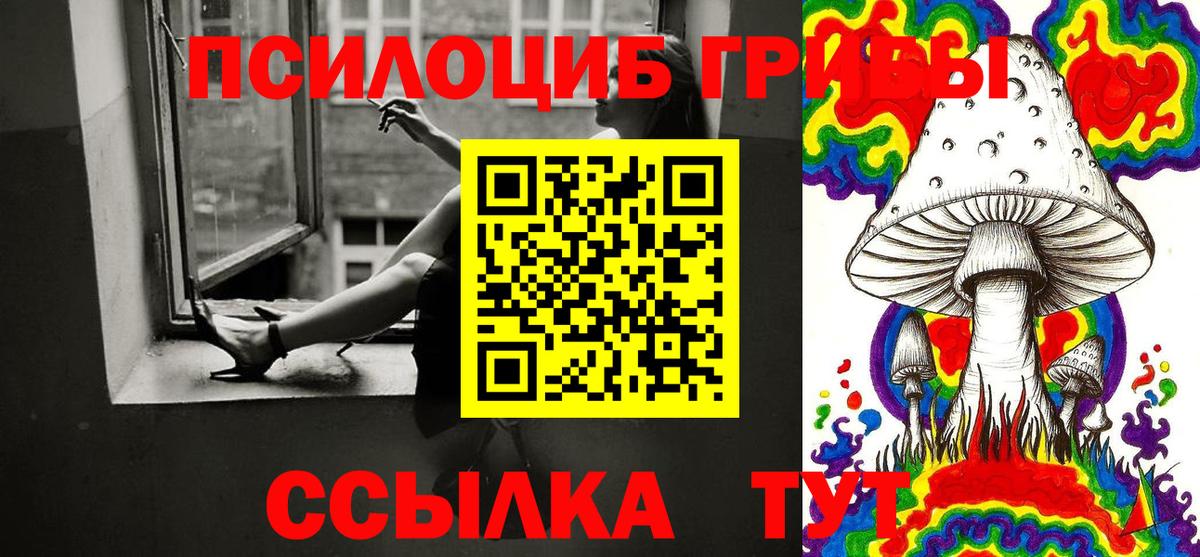 Псилоцибиновые грибы GOLDEN TEACHER  Вход с VPN  Егорьевск 